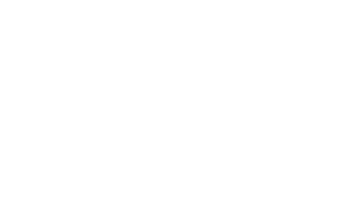 Salter & Sons Electric